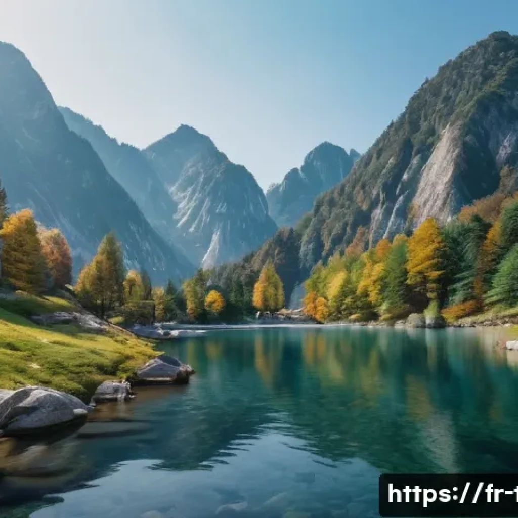 태권도 애호가들을 위한 책 관련 이미지 1