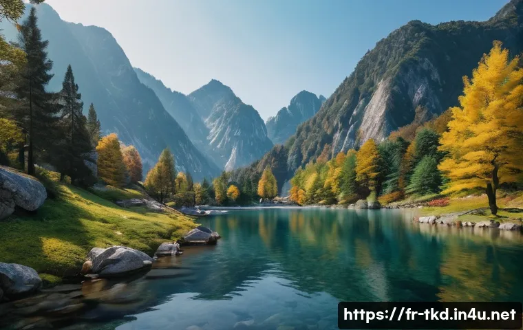 태권도 애호가들을 위한 책 관련 이미지 1