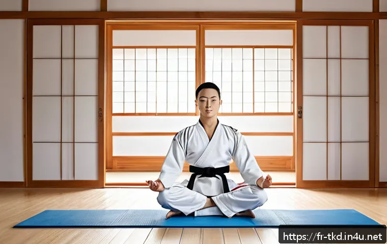 Découvrez comment l’alliance du Taekwondo et de la méditation transforme votre corps et votre esprit au quotidien 4 태권도와 명상 결합 훈련 관련 이미지 2