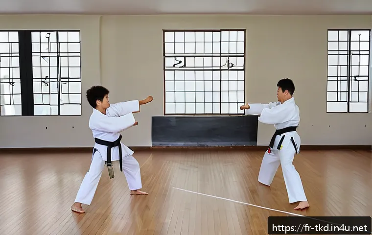 태권도 트레이닝 장소 추천 - A traditional Parisian taekwondo dojo located in the 15th arrondissement, featuring a spacious train...